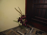 63.3.cutie patooties III