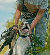 Screenshot_20230627_232612_Gallery