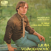 [Slika: Ljuba-Vojvodanovic-1981-p.jpg]