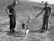 ADP Free party Balscha 2009 009