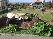 Kompostmiete Aus Drei mach Eins 2.Okt. 2015 (6)