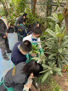 photo-20211123-iherbalgarden-009