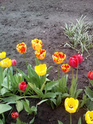 https://i.postimg.cc/FfkbtjGn/IMG-20210430-112630-1.jpg
