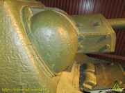 IMG-2796
