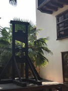 IMG-8837