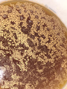 IMG 20251227 154412944