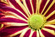 IMG-20190420-092311-2