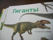 https://i.postimg.cc/FfxydBS2/100-8629.jpg