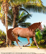 68829146-DC90-41FF-BE1A-14A20C804A1C