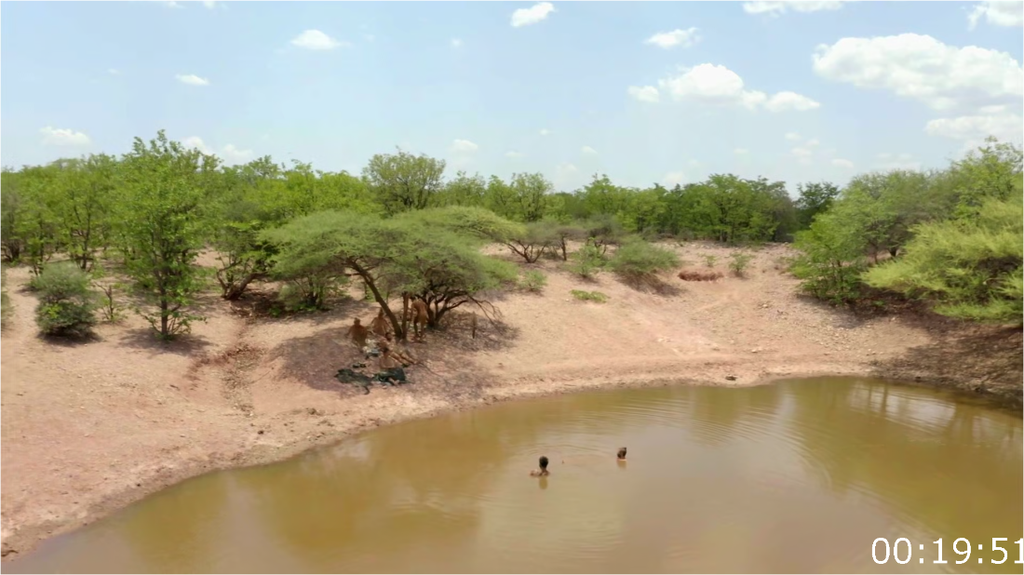 [Image: jgt20ml32nmz.png]