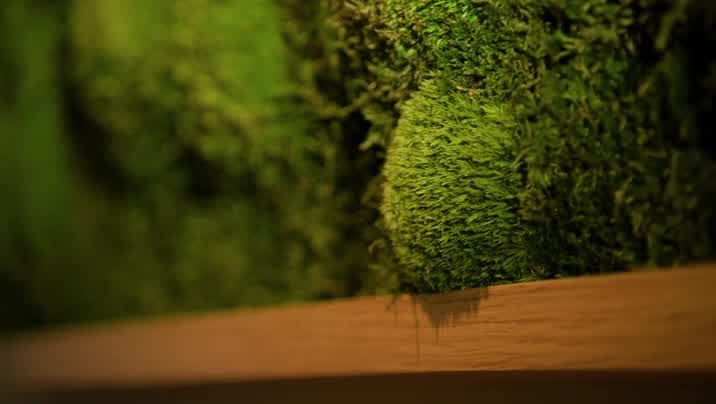 [Image: 2lfc1v30mkic.jpg]