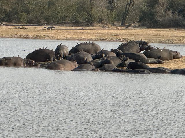 [Linked Image from i.postimg.cc]