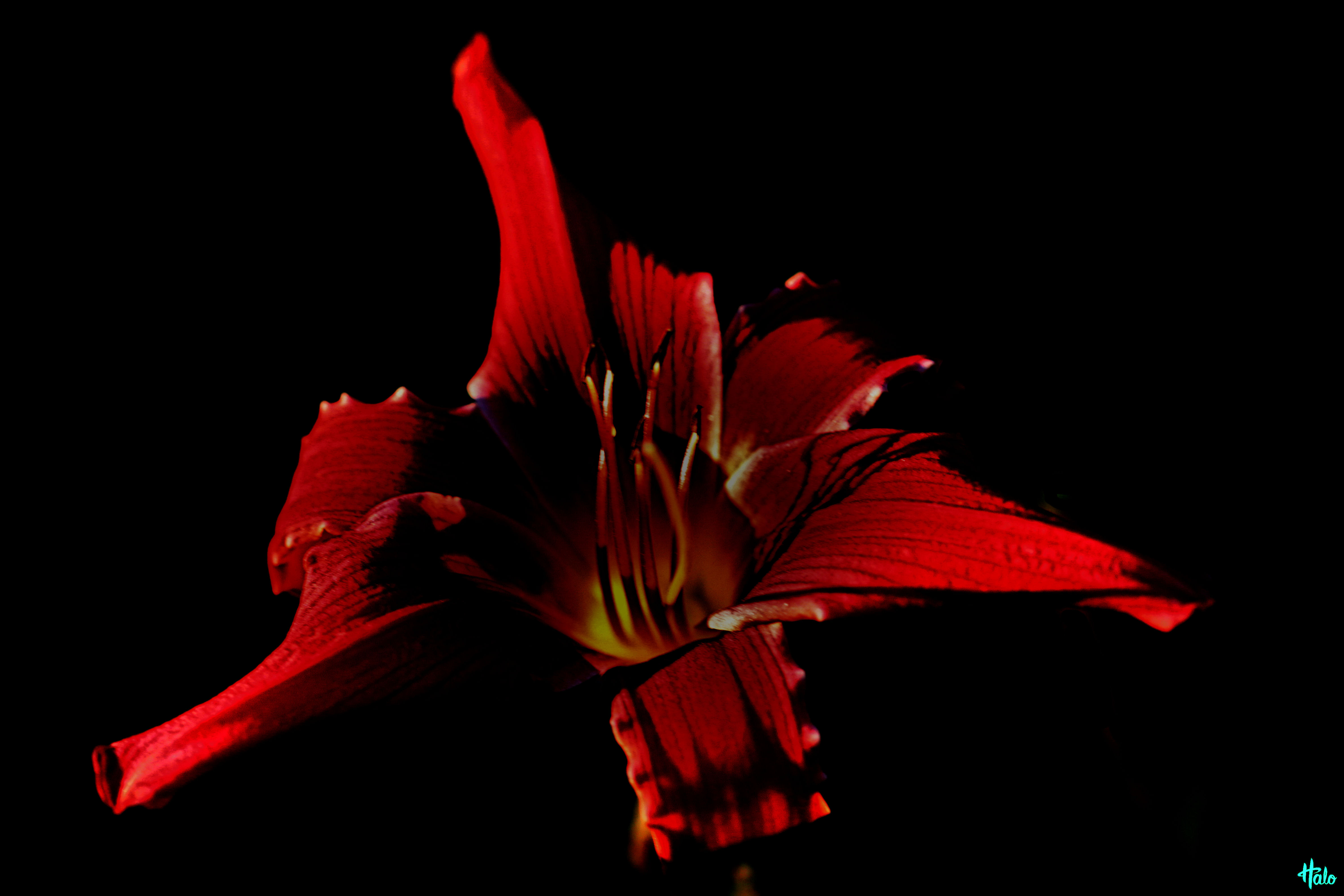 Img 1394e Postimages