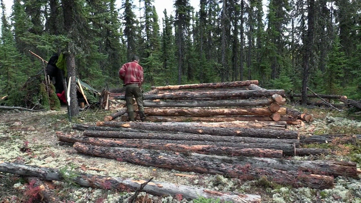 [Image: 15w5bw4ayfxo.png]