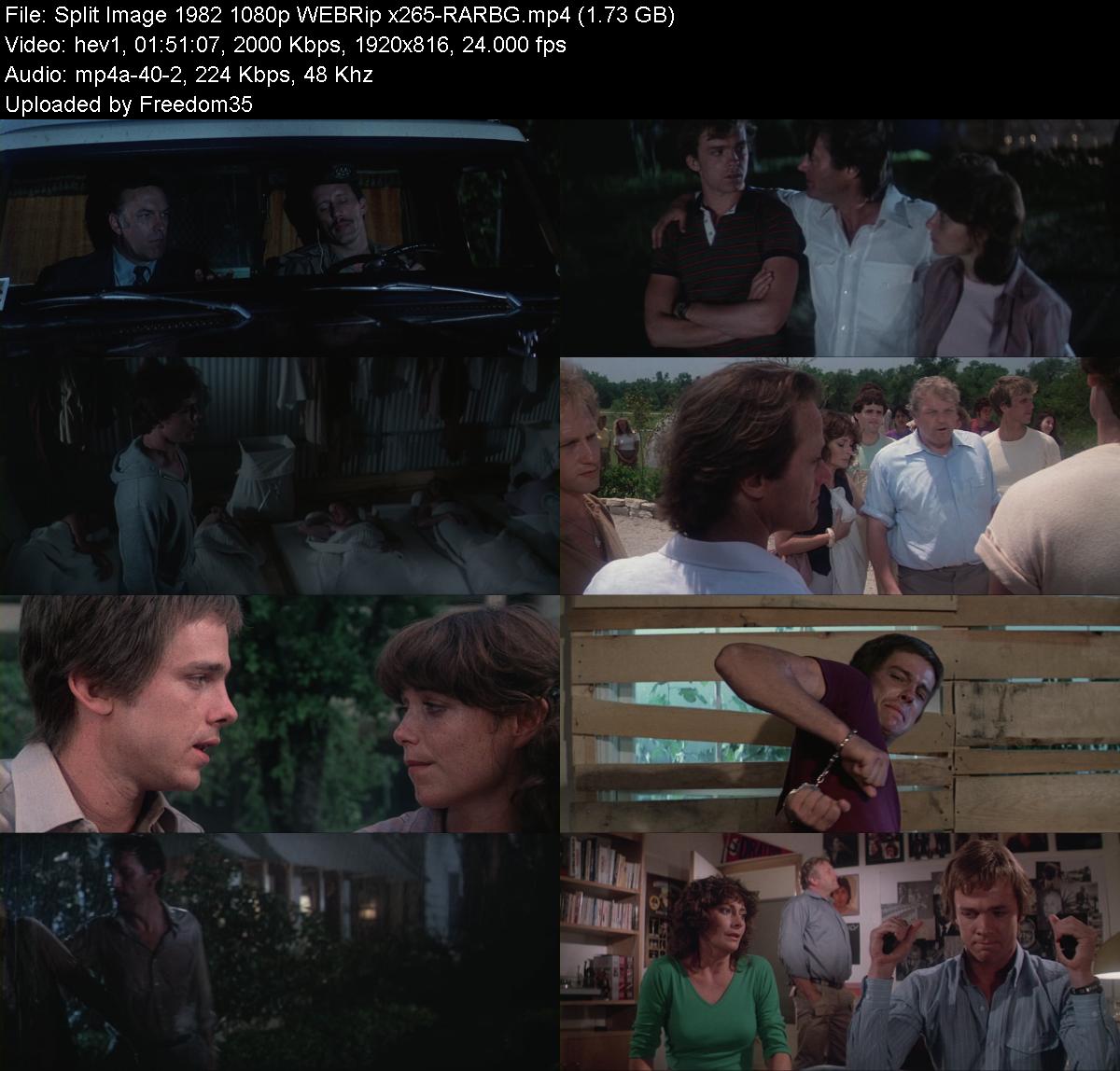 Split-Image-1982-1080p-WEBRip-x265-RARBG