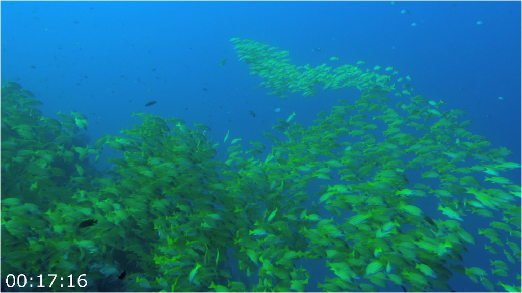 [Image: suxv757u9puo.png]