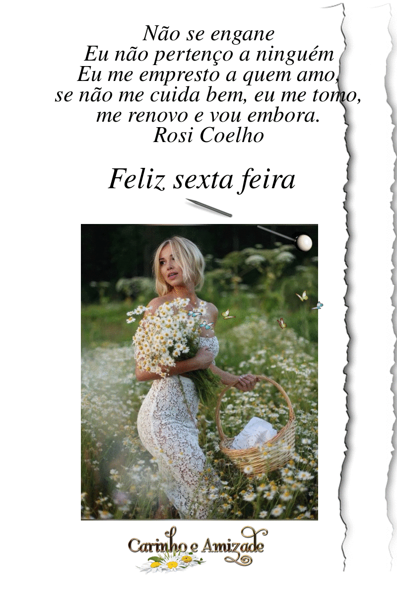 oie-oie-overlay-1.gif