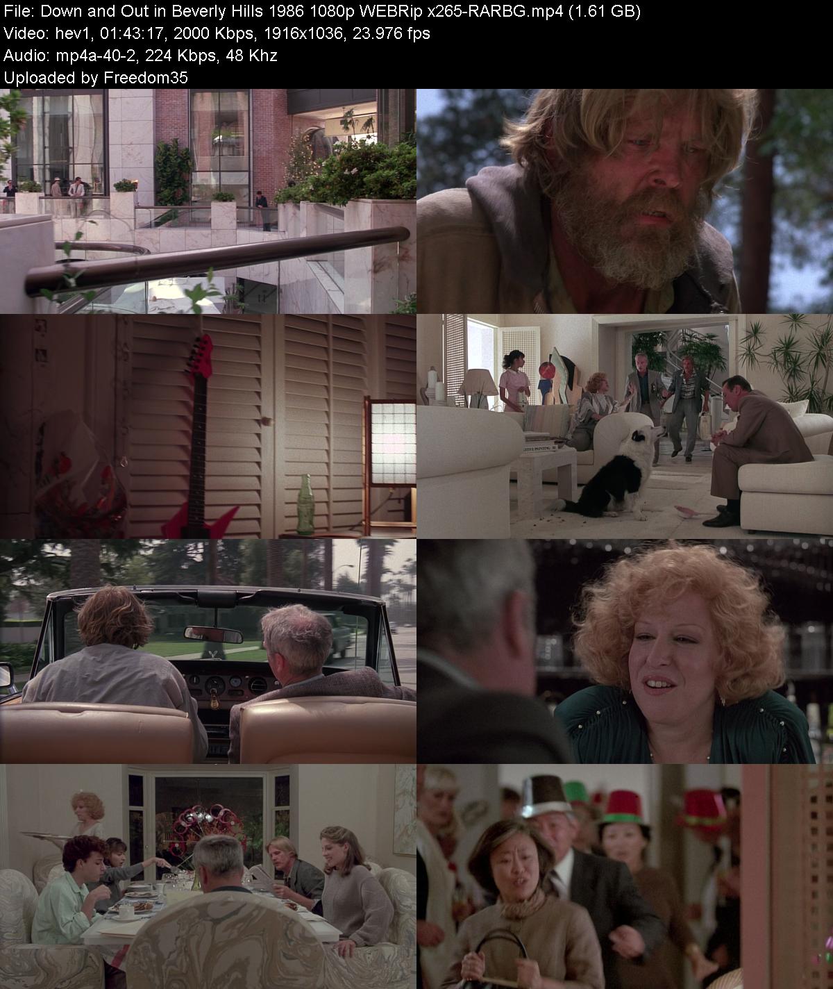 Down-and-Out-in-Beverly-Hills-1986-1080p