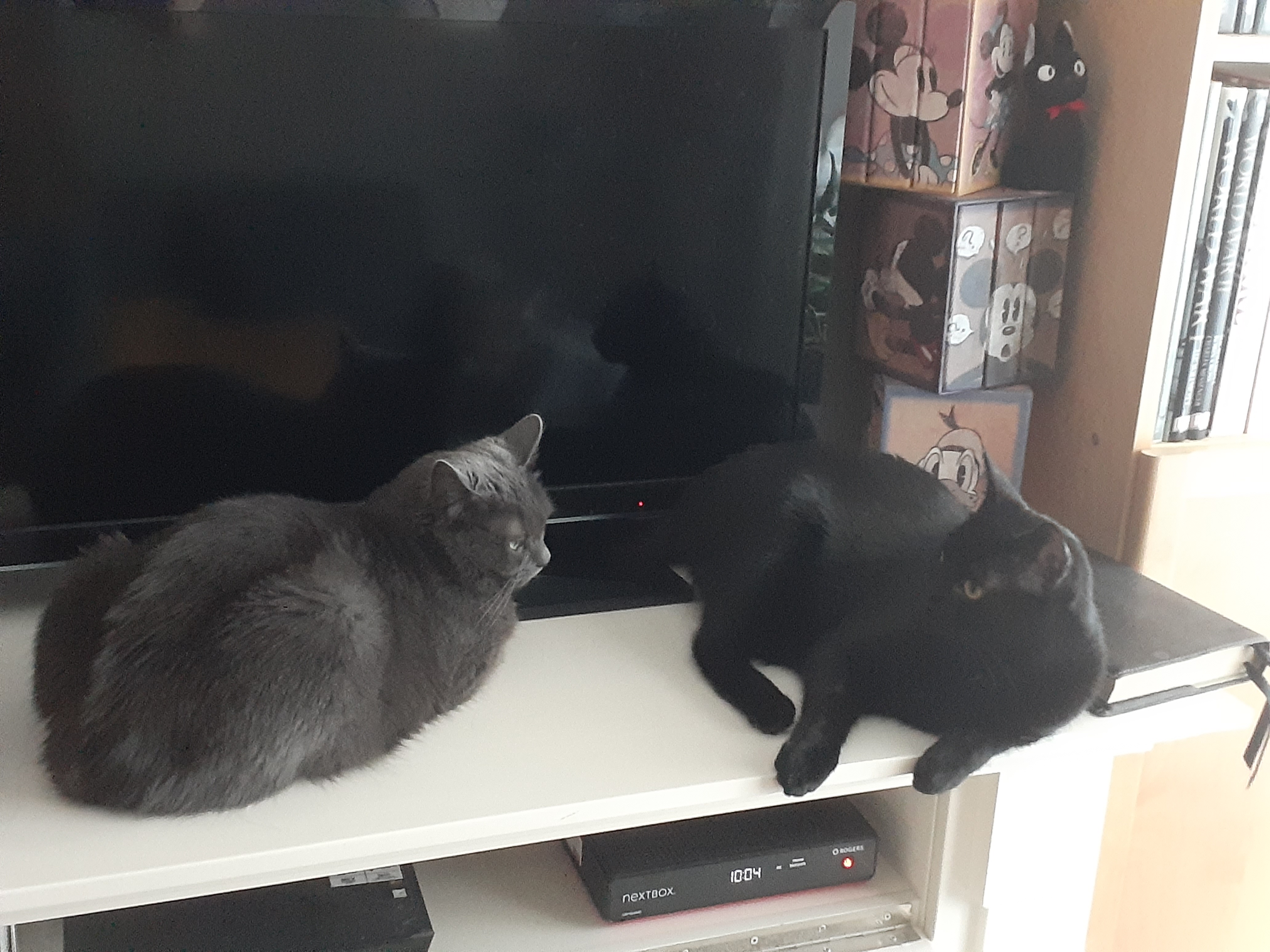 20220129-100447.jpg