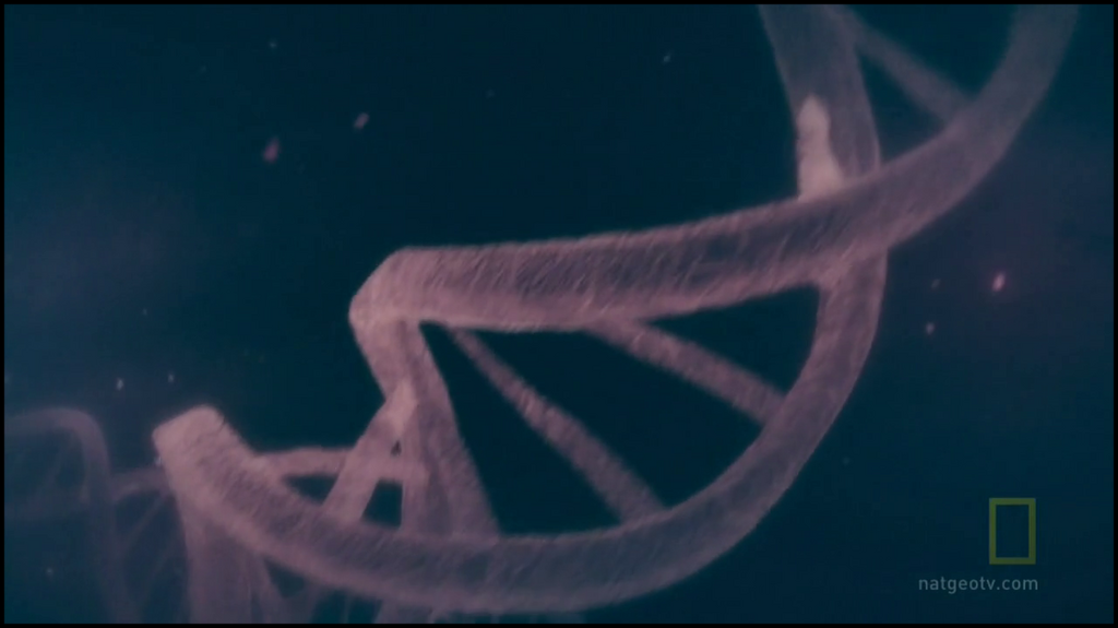 [Image: e6bk8n2wprc7.png]