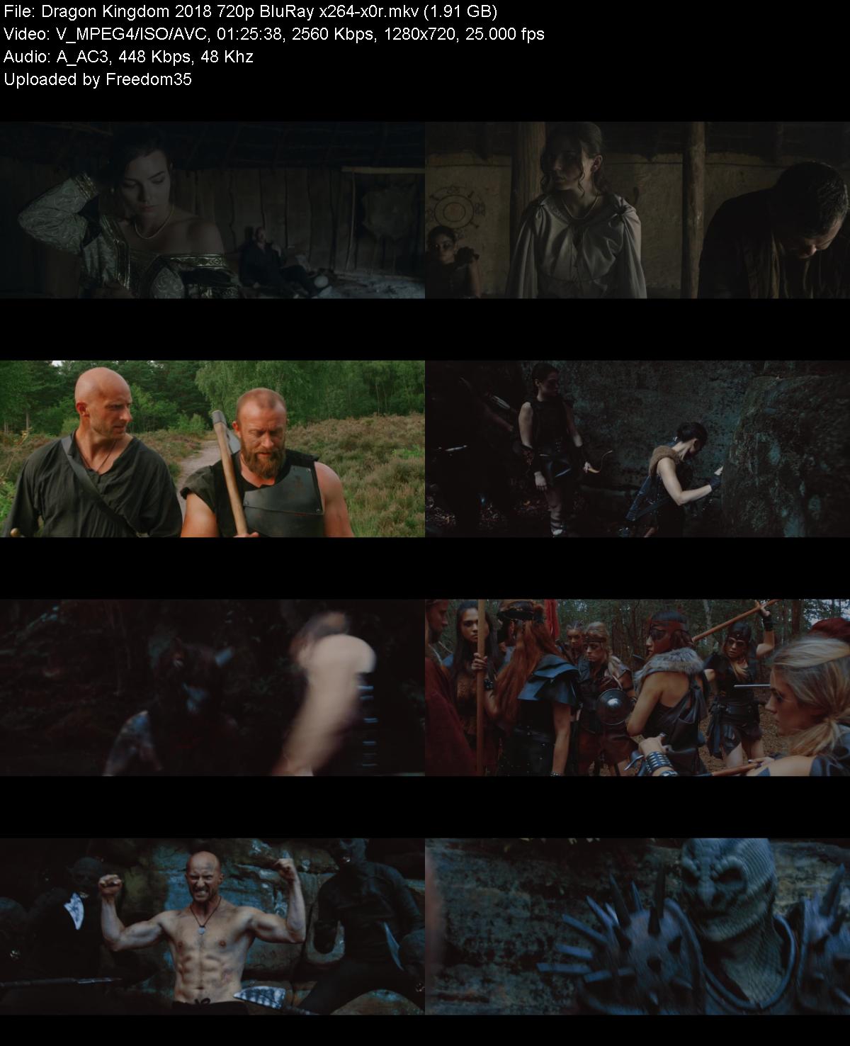 Dragon-Kingdom-2018-720p-Blu-Ray-x264-x0