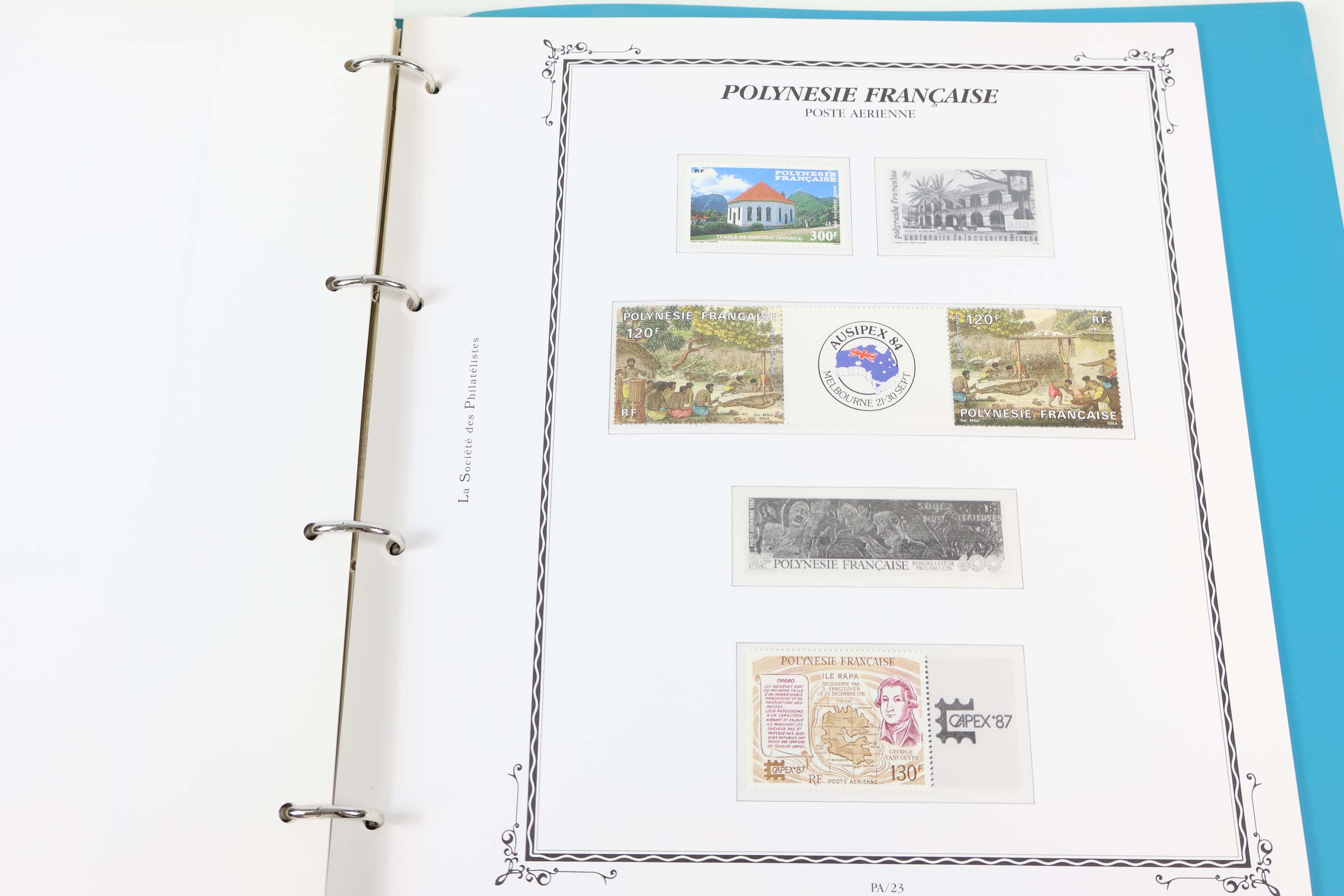 IMG-6203