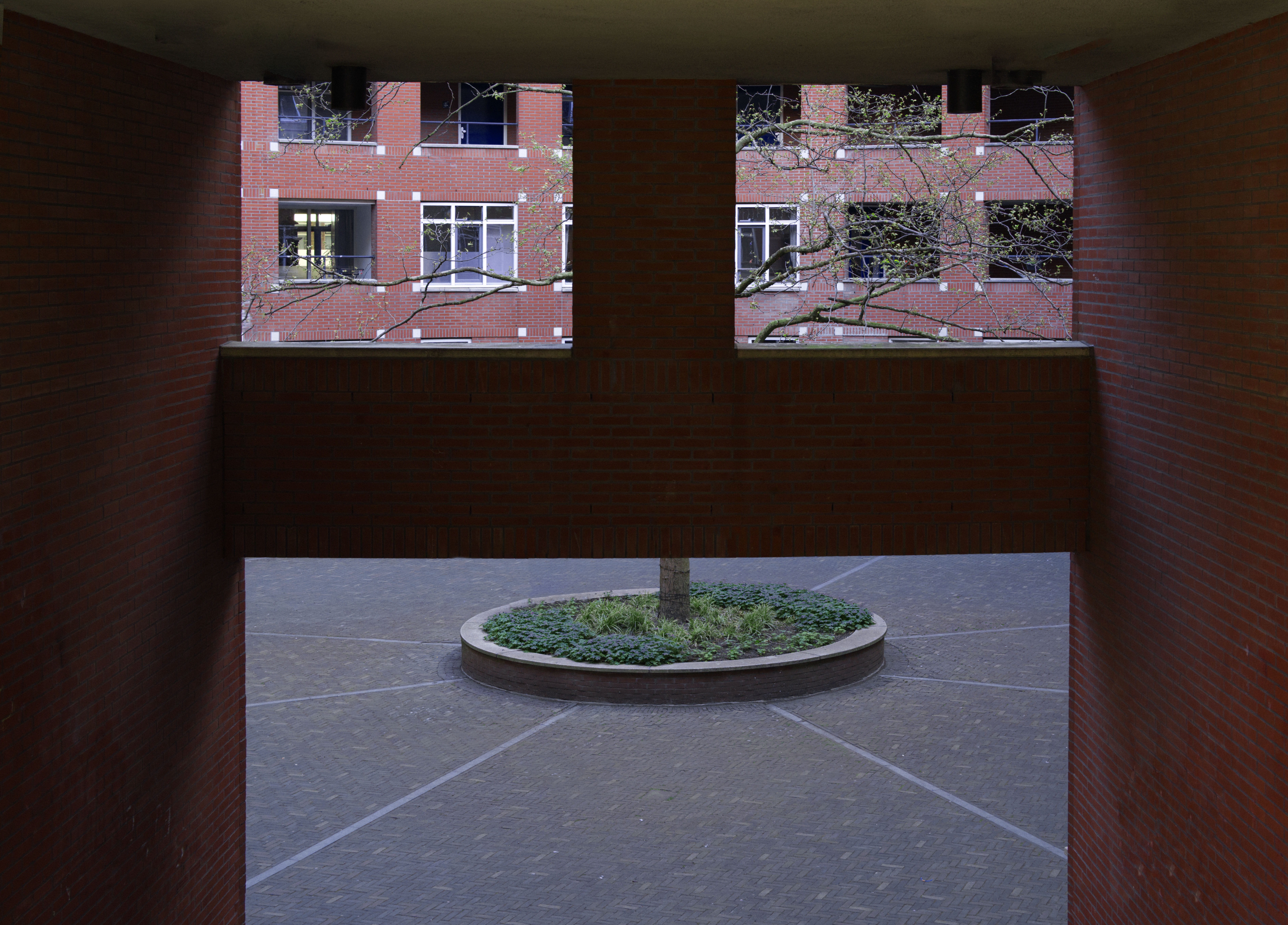 Fotografie