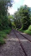S1470157