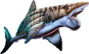 Helicoprion1
