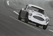  1965 International Championship for Makes 65day01-AHealey3000-S-Shortman-R-Rodjers