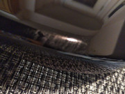 IMG_20181001_2108442