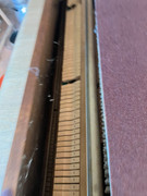 49e90724-5677-11ef-baf0-45ae91e4593b