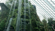 Cloud Forest 08