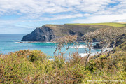 Crackington Haven from the south.