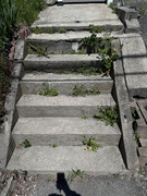 IMG-1265