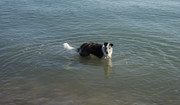 Lost-his-ball