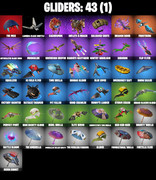 gliders-comp
