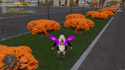 photo-2025-12-04-16-09-49