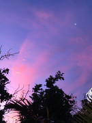 [Image: Lune-au-soleil-levant.jpg]