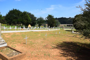 DSC-0008