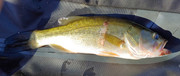 IMG-20200830-105953-073-2.jpg