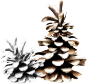 Christmas-Dreams-122