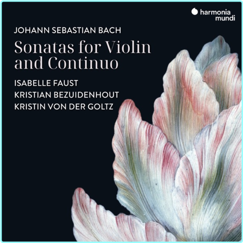 [Image: er8o9xs4y3fe.png]