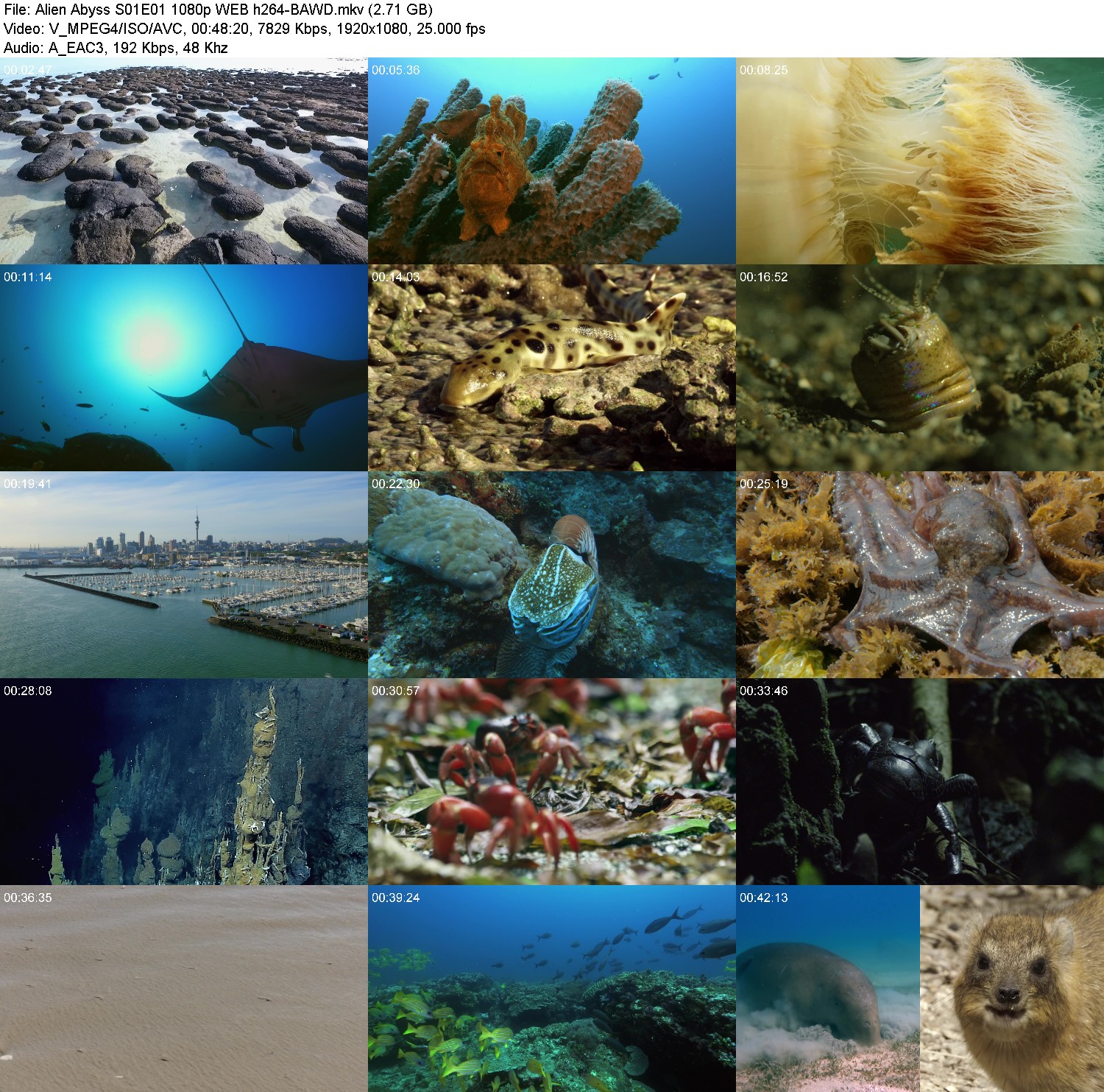 [Image: km2747ffuarf.jpg]