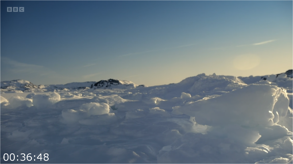 [Image: dy11blgv6r0w.png]