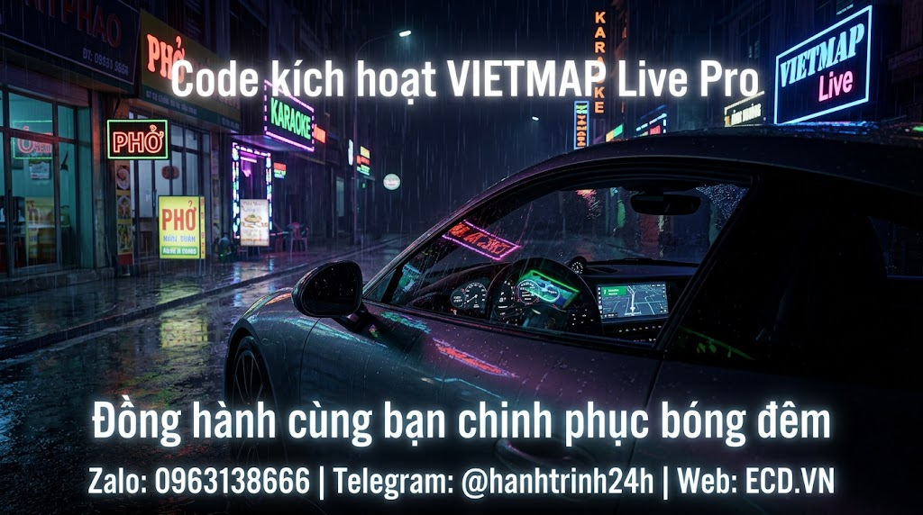 vietmap pro active 2 year