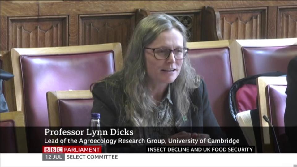 [Image: 7cv8g59svzkn.png]