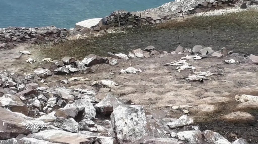 [Image: lp3z5ff3lmq5.jpg]