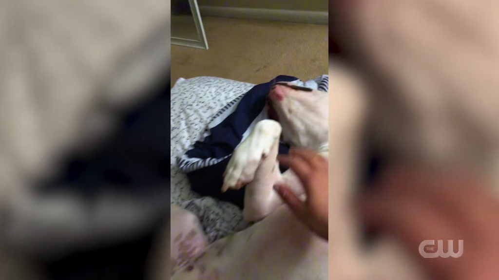 [Image: k8ktl4zge54r.png]