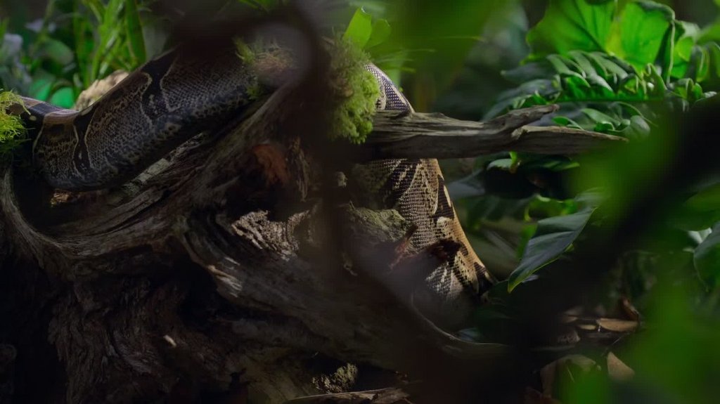 [Image: 64o3nukq9qta.jpg]